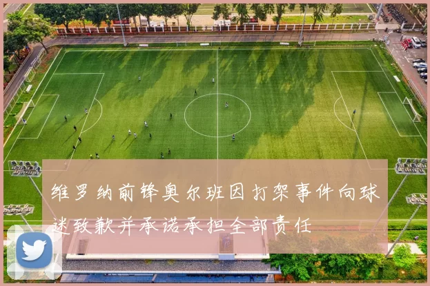 维罗纳前锋奥尔班因打架事件向球迷致歉并承诺承担全部责任