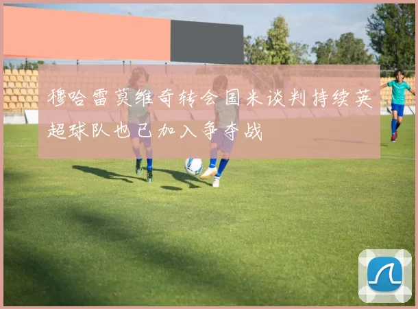 穆哈雷莫维奇转会国米谈判持续英超球队也已加入争夺战